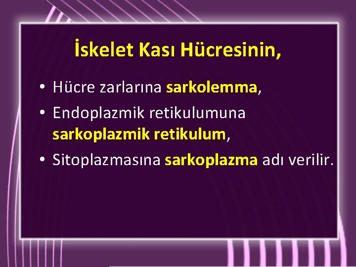 İskelet Kası Hücresinin, Hücre zarlarına sarkolemma, Endoplazmik retikulumuna sarkoplazmik retikulum, • Sitoplazmasına sarkoplazma adı