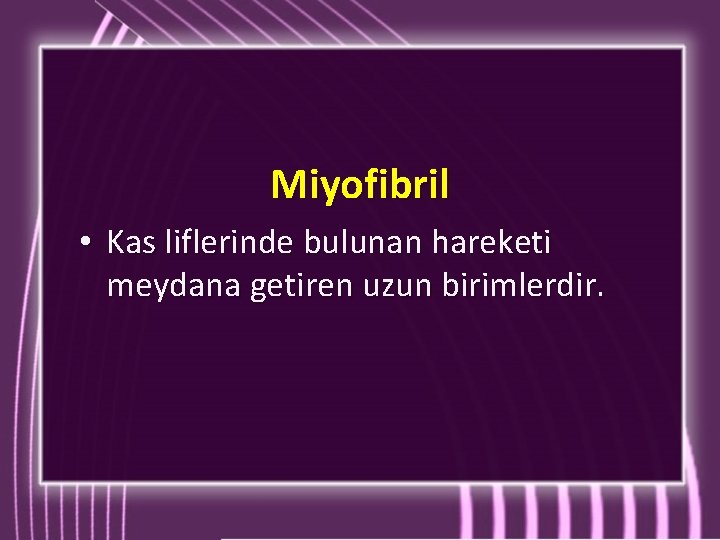 Miyofibril • Kas liflerinde bulunan hareketi meydana getiren uzun birimlerdir. Miyofibril • Kas liflerinde bulunan hareketi meydana getiren uzun birimlerdir.