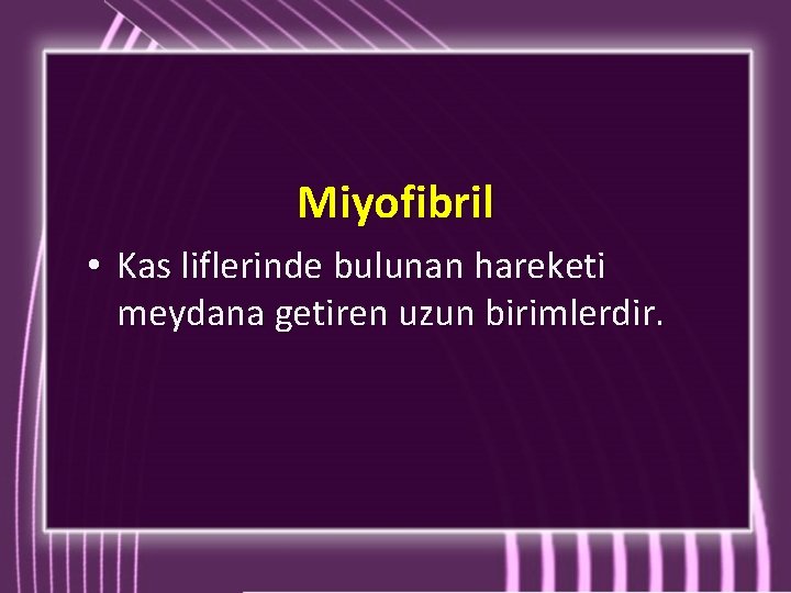 Miyofibril • Kas liflerinde bulunan hareketi meydana getiren uzun birimlerdir. 