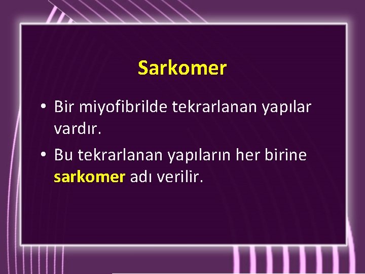 Sarkomer • Bir miyofibrilde tekrarlanan yapılar vardır. • Bu tekrarlanan yapıların her birine sarkomer