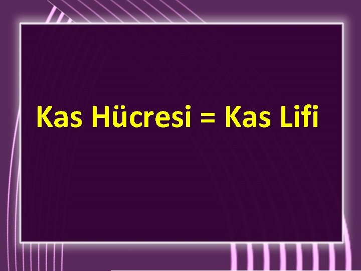 Kas Hücresi = Kas Lifi Kas Hücresi = Kas Lifi