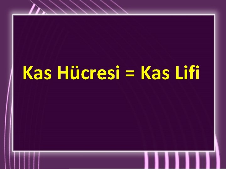 Kas Hücresi = Kas Lifi 