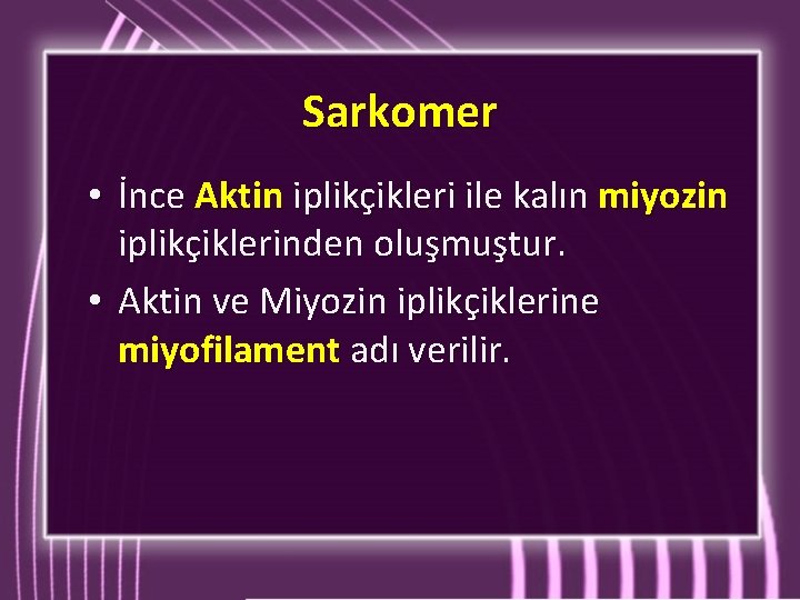 Sarkomer • İnce Aktin iplikçikleri ile kalın miyozin iplikçiklerinden oluşmuştur. • Aktin ve Miyozin