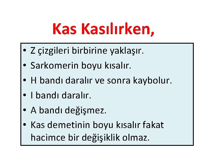 Kas Kasılırken, • • • Z çizgileri birbirine yaklaşır. Sarkomerin boyu kısalır. H bandı