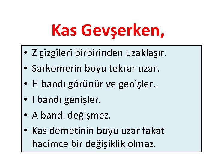 Kas Gevşerken, • • • Z çizgileri birbirinden uzaklaşır. Sarkomerin boyu tekrar uzar. H Kas Gevşerken, • • • Z çizgileri birbirinden uzaklaşır. Sarkomerin boyu tekrar uzar. H