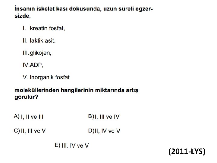 (2011 -LYS) (2011 -LYS)