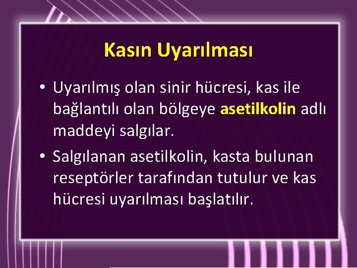 Kasın Uyarılması • Uyarılmış olan sinir hücresi, kas ile bağlantılı olan bölgeye asetilkolin adlı Kasın Uyarılması • Uyarılmış olan sinir hücresi, kas ile bağlantılı olan bölgeye asetilkolin adlı