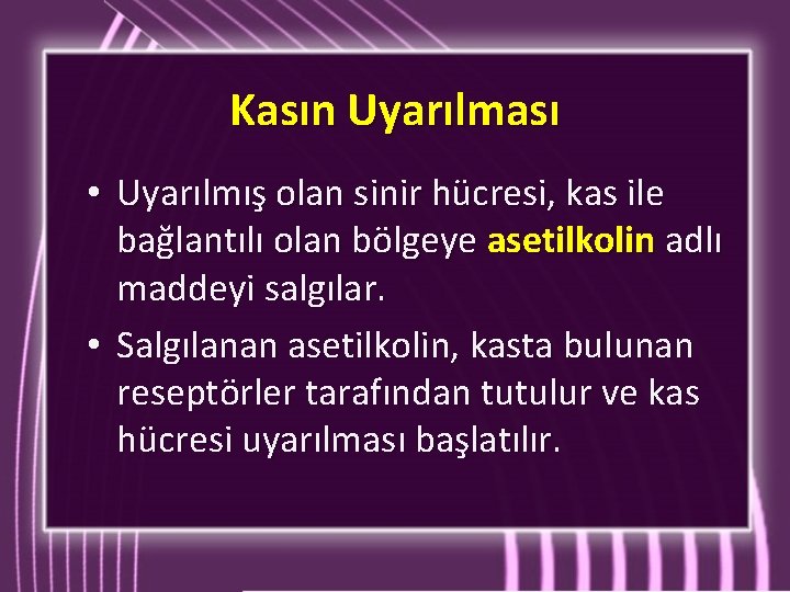 Kasın Uyarılması • Uyarılmış olan sinir hücresi, kas ile bağlantılı olan bölgeye asetilkolin adlı