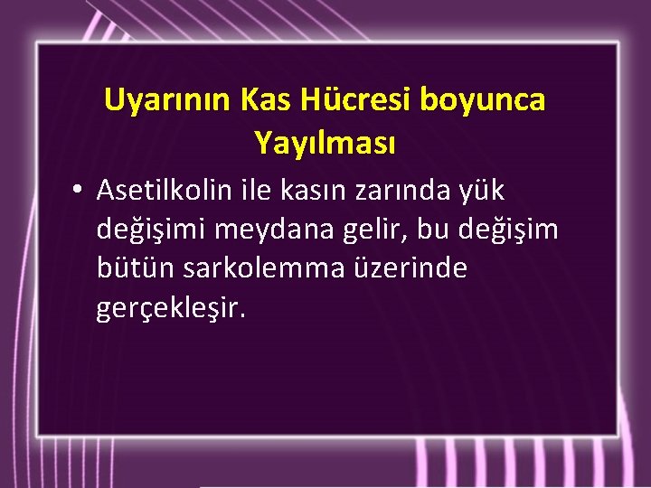 Uyarının Kas Hücresi boyunca Yayılması • Asetilkolin ile kasın zarında yük değişimi meydana gelir, Uyarının Kas Hücresi boyunca Yayılması • Asetilkolin ile kasın zarında yük değişimi meydana gelir,