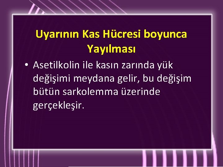 Uyarının Kas Hücresi boyunca Yayılması • Asetilkolin ile kasın zarında yük değişimi meydana gelir,