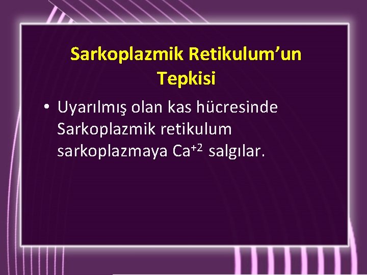 Sarkoplazmik Retikulum’un Tepkisi • Uyarılmış olan kas hücresinde Sarkoplazmik retikulum sarkoplazmaya Ca+2 salgılar. 