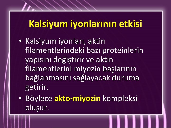 Kalsiyum iyonlarının etkisi • Kalsiyum iyonları, aktin filamentlerindeki bazı proteinlerin yapısını değiştirir ve aktin