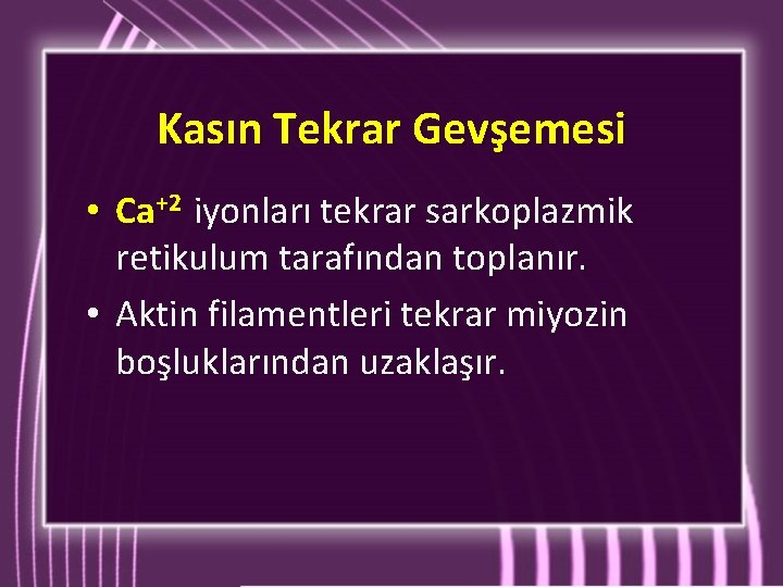 Kasın Tekrar Gevşemesi • Ca+2 iyonları tekrar sarkoplazmik retikulum tarafından toplanır. • Aktin filamentleri Kasın Tekrar Gevşemesi • Ca+2 iyonları tekrar sarkoplazmik retikulum tarafından toplanır. • Aktin filamentleri