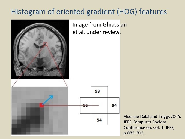 Histogram of oriented gradient (HOG) features Image from Ghiassian et al. under review. Also