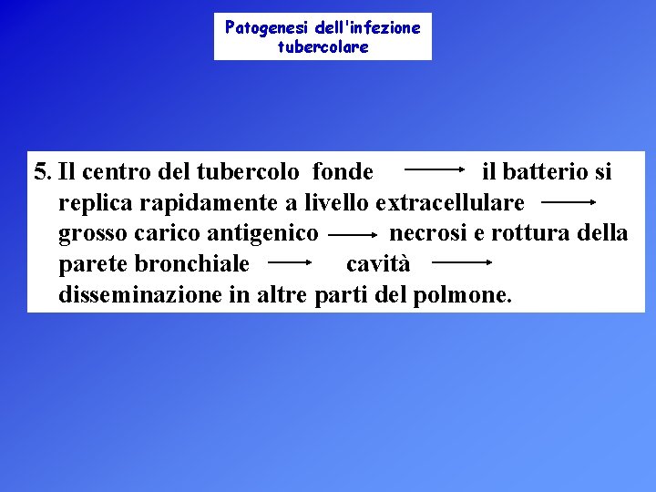 Patogenesi dell'infezione tubercolare 5. Il centro del tubercolo fonde il batterio si replica rapidamente