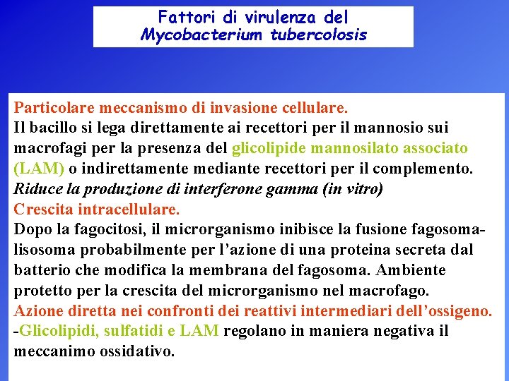 Fattori di virulenza del Mycobacterium tubercolosis Particolare meccanismo di invasione cellulare. Il bacillo si