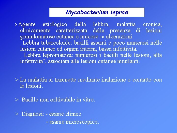 Mycobacterium leprae > Agente eziologico della lebbra, malattia cronica, clinicamente caratterizzata dalla presenza di