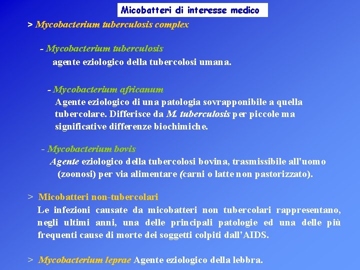 Micobatteri di interesse medico > Mycobacterium tuberculosis complex - Mycobacterium tuberculosis agente eziologico della