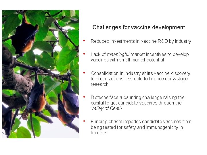 Challenges for vaccine development • Reduced investments in vaccine R&D by industry • Lack