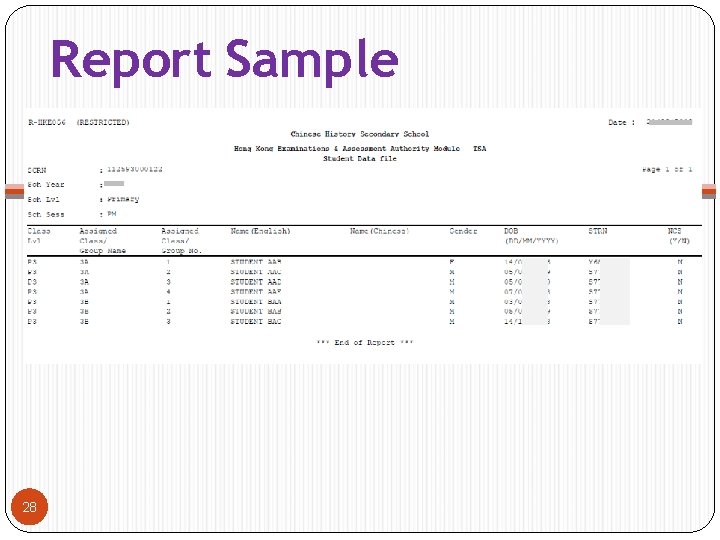 Report Sample 28 