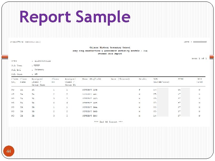 Report Sample 44 