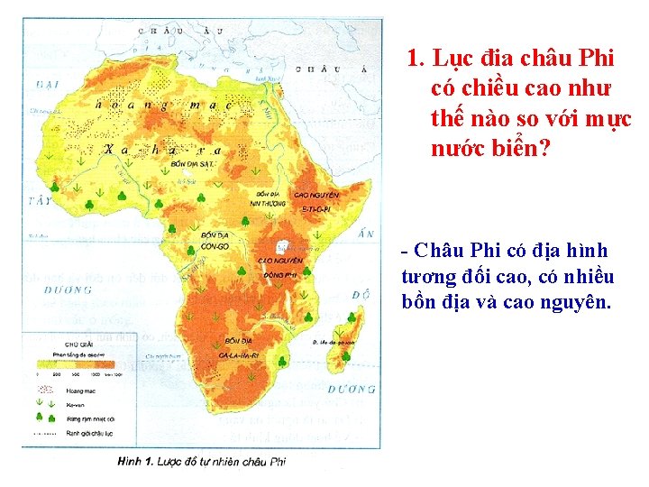 1. Lục đia châu Phi có chiều cao như thế nào so với mực