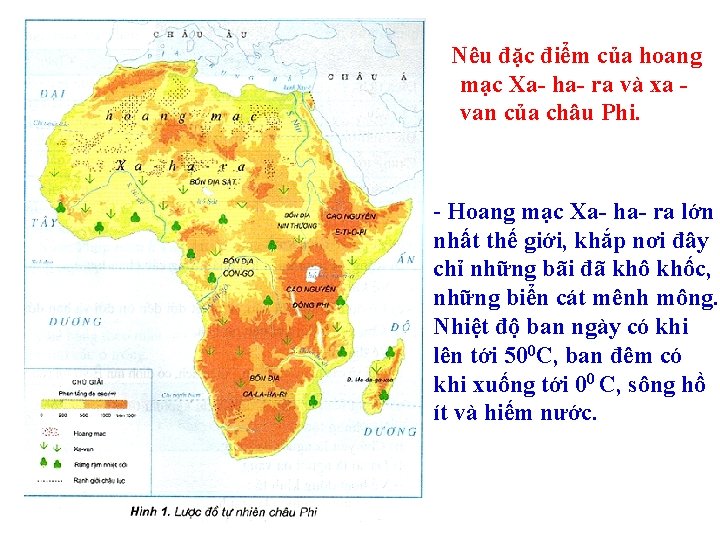 Nêu đặc điểm của hoang mạc Xa- ha- ra và xa van của châu