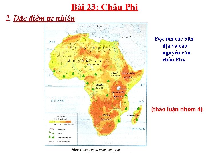 Bài 23: Châu Phi 2. Đặc điểm tự nhiên Đọc tên các bồn địa