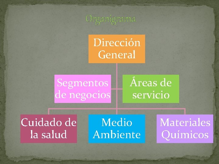 Organigrama Dirección General Segmentos de negocios Cuidado de la salud Áreas de servicio Medio