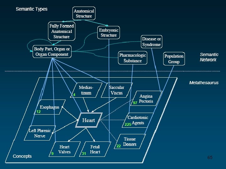 Semantic type 3 d map 65 