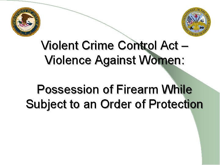 Violent Crime Control Act – Violence Against Women: Possession of Firearm While Subject to