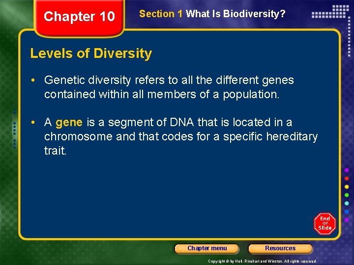 Chapter 10 Section 1 What Is Biodiversity A