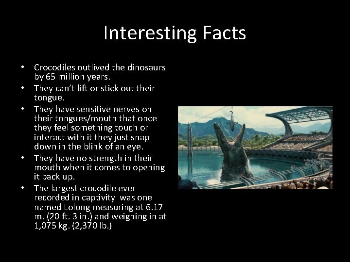 Interesting Facts • Crocodiles outlived the dinosaurs by 65 million years. • They can’t