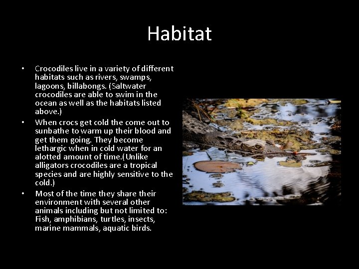 Habitat • • • Crocodiles live in a variety of different habitats such as