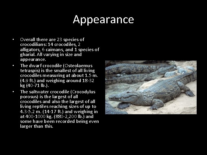 Appearance • • • Overall there are 23 species of crocodilians: 14 crocodiles, 2