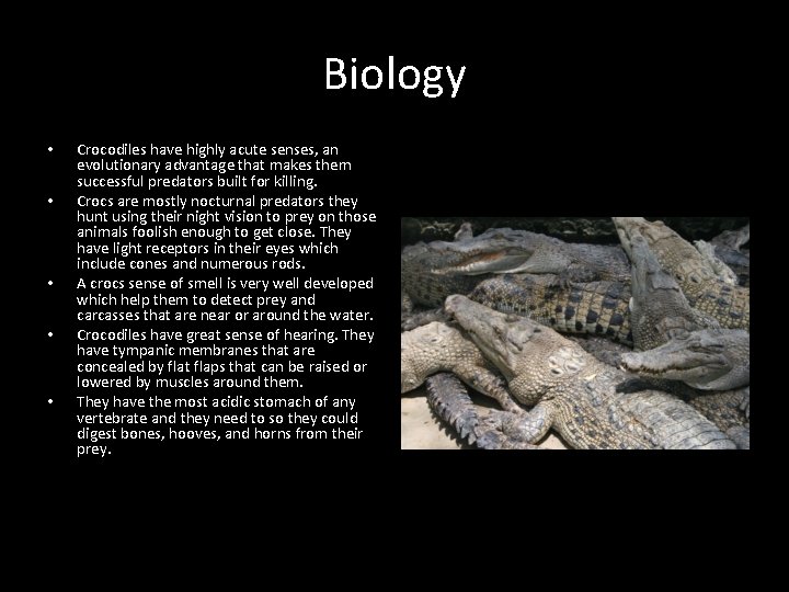 Biology • • • Crocodiles have highly acute senses, an evolutionary advantage that makes