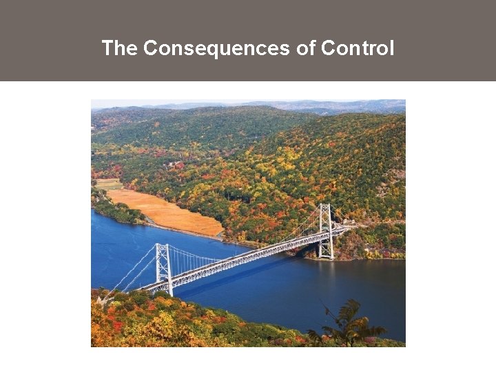The Consequences of Control 