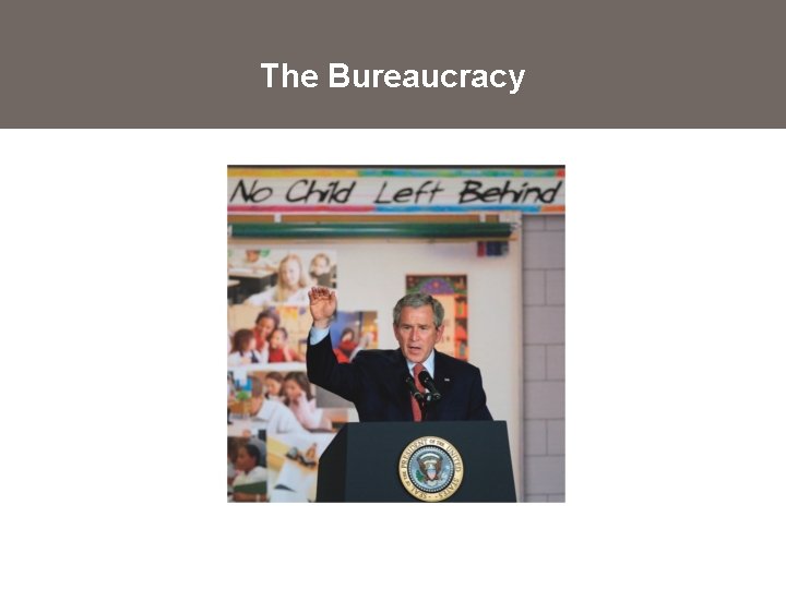 The Bureaucracy 