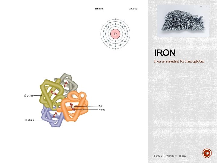 Iron is essential for hemoglobin Feb 29, 2016 C. Hsia 10 