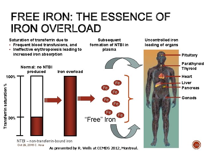 Saturation of transferrin due to • Frequent blood transfusions, and • Ineffective erythropoiesis leading