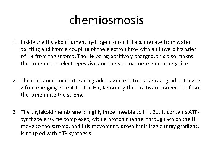 chemiosmosis 1. Inside thylakoid lumen, hydrogen ions (H+) accumulate from water splitting and from