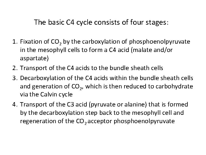 The basic C 4 cycle consists of four stages: 1. Fixation of CO 2