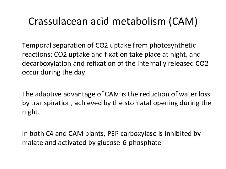 Crassulacean acid metabolism (CAM) Temporal separation of CO 2 uptake from photosynthetic reactions: CO