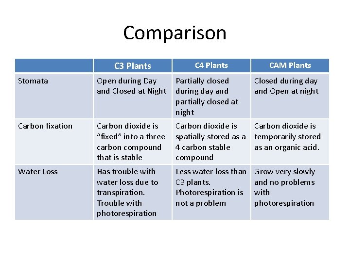 Comparison C 3 Plants C 4 Plants CAM Plants Stomata Open during Day and