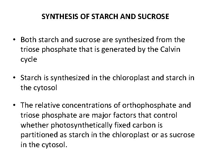 SYNTHESIS OF STARCH AND SUCROSE • Both starch and sucrose are synthesized from the
