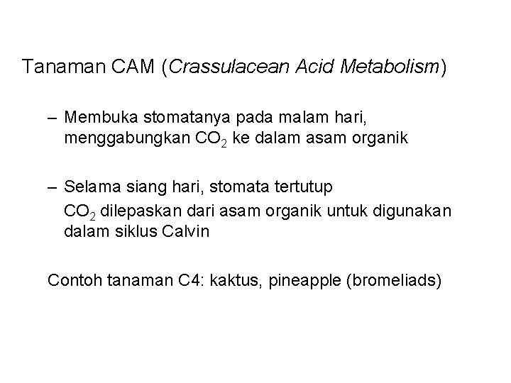 Tanaman CAM (Crassulacean Acid Metabolism) – Membuka stomatanya pada malam hari, menggabungkan CO 2