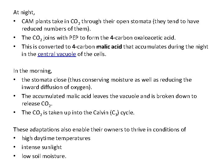 At night, • CAM plants take in CO 2 through their open stomata (they