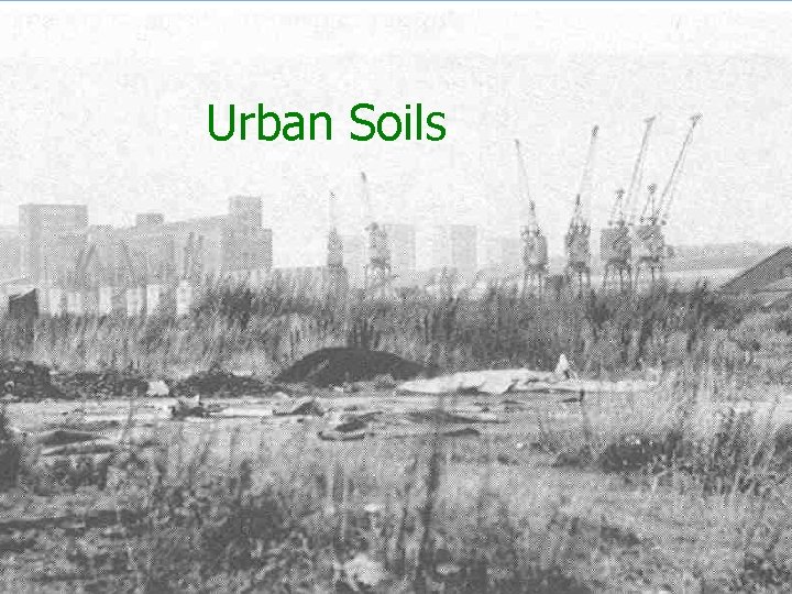 Urban Soils 