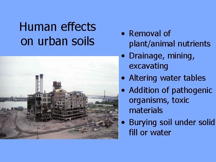 Human effects on urban soils • Removal of plant/animal nutrients • Drainage, mining, excavating