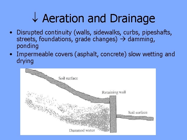  Aeration and Drainage • Disrupted continuity (walls, sidewalks, curbs, pipeshafts, streets, foundations, grade